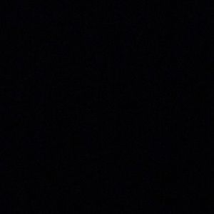 Meet your Posher, Carter